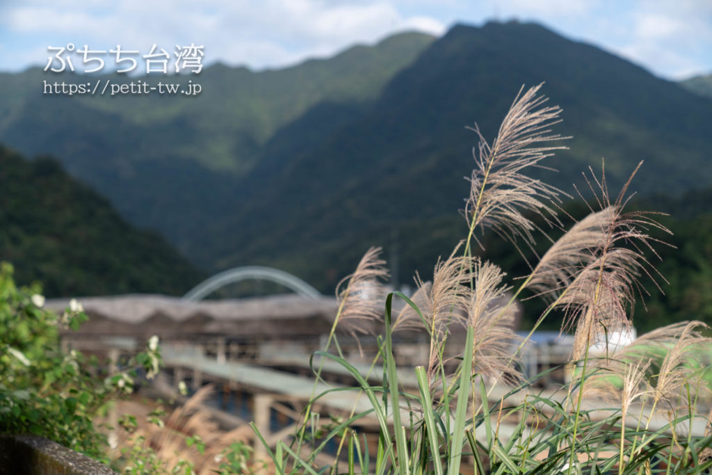 台湾の猴硐猫村の風景