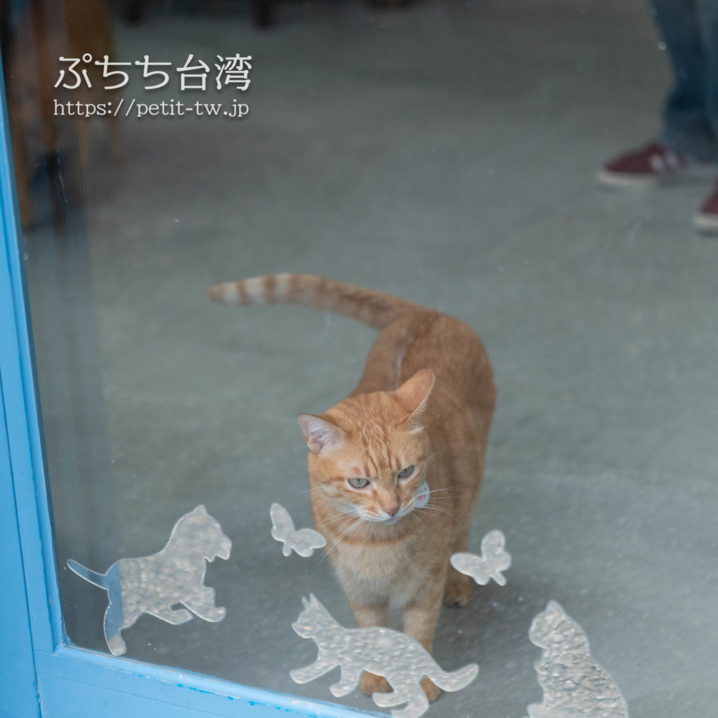 台湾の猴硐猫村の猫