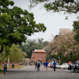 台南の成功大学キャンパス