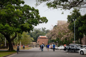 台南の成功大学キャンパス