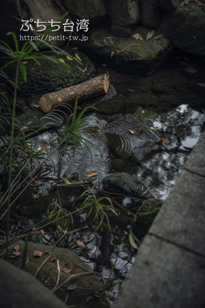 台南神社跡地の橋の下の池